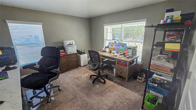 view of carpeted office