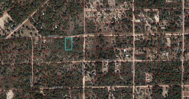 TBD NE 90th St, Williston FL, 32696 land for sale