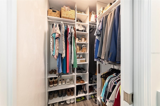 walk in closet featuring wood finished floors