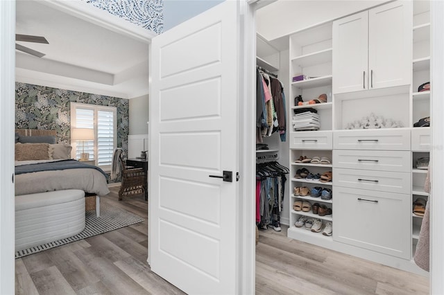 walk in closet with light wood-style floors