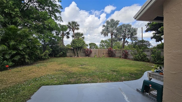 view of yard with a patio area and a fenced backyard