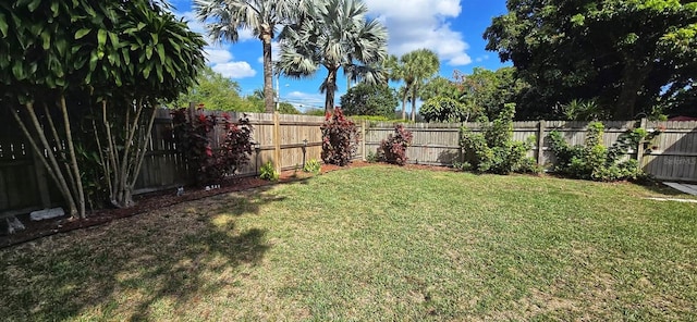 view of yard with a fenced backyard