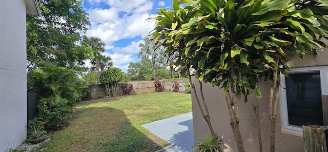 view of yard with a fenced backyard