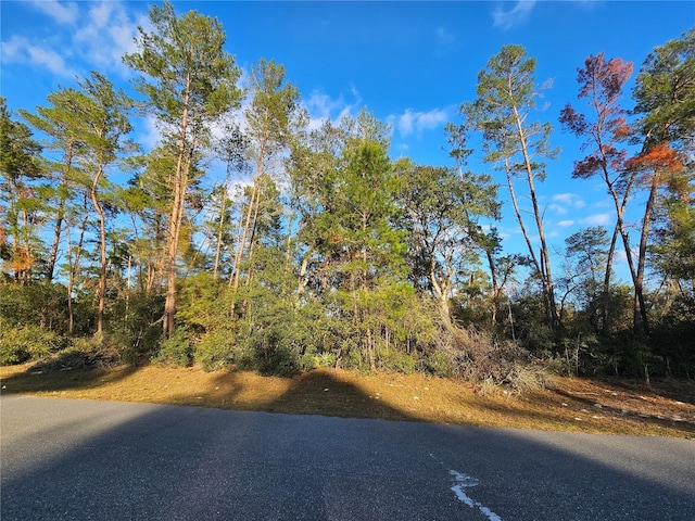 0 SW 33rd Ter, Ocala FL, 34473 land for sale