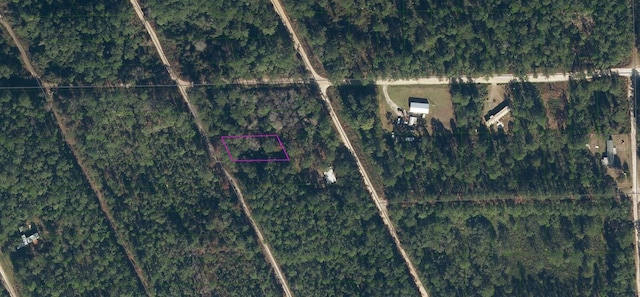 204 Coot Rd, Satsuma FL, 32189 land for sale