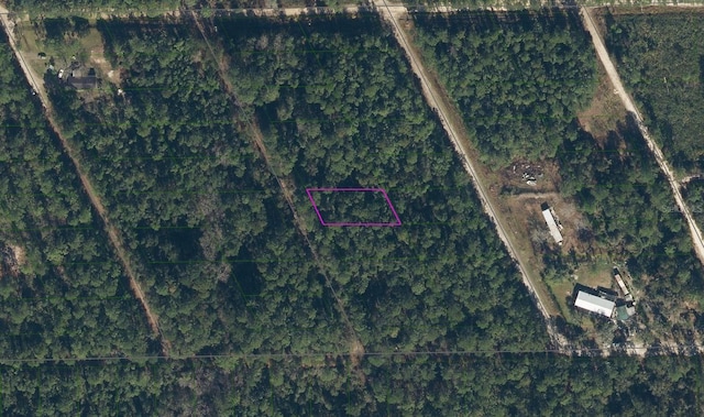 310 Heron Rd, Satsuma FL, 32189 land for sale