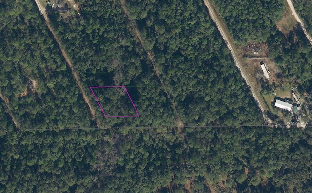 314 Hawknest Rd, Satsuma FL, 32189 land for sale