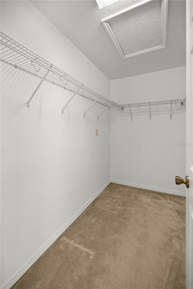 walk in closet featuring carpet and attic access