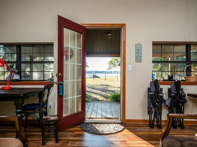 entryway featuring a wealth of natural light, baseboards, and wood finished floors