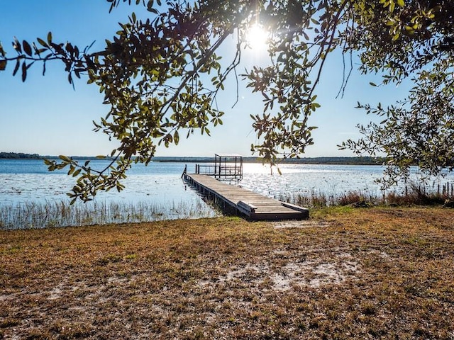 dock area with a water view