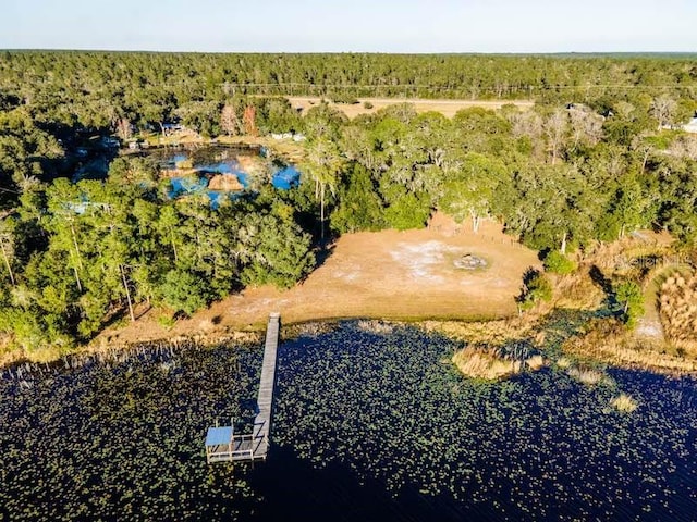 birds eye view of property featuring a water view and a view of trees