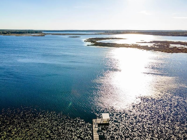 property view of water with a boat dock