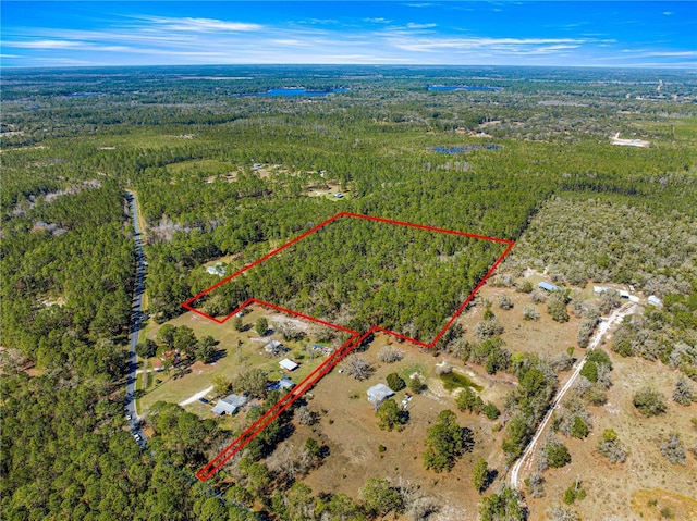 TBD NE 212 Street Rd, Fort Mc Coy FL, 32134 land for sale