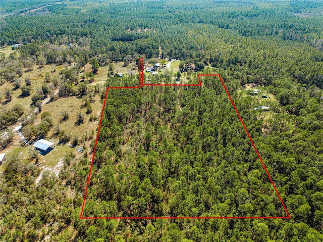 Listing photo 2 for TBD NE 212 Street Rd, Fort Mc Coy FL 32134