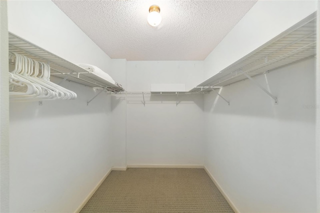 walk in closet with carpet