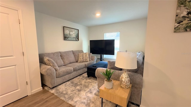 living room featuring wood finished floors