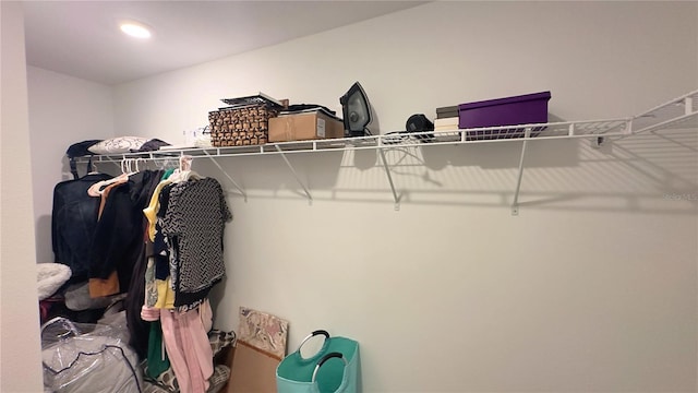 view of spacious closet