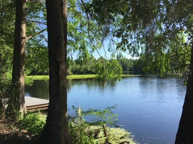 view of water feature featuring a forest view