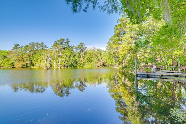 view of water feature featuring a view of trees