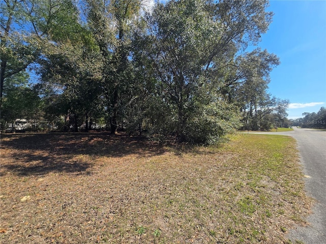 Listing photo 3 for 8467 N Empire Ave, Citrus Springs FL 34433