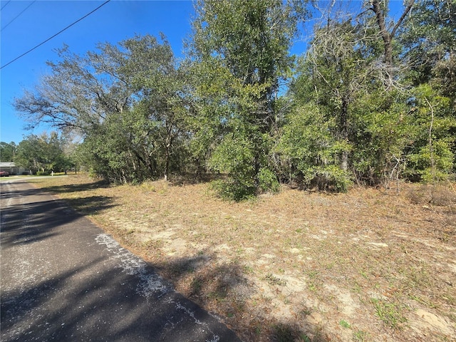 8365 N Ibsen Dr, Citrus Springs FL, 34433 land for sale