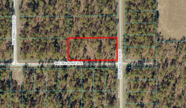 TBD NW Buena Vista Rd, Dunnellon FL, 34431 land for sale