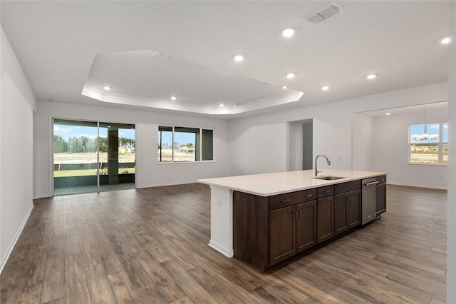 kitchen featuring open floor plan, light countertops, a tray ceiling, and a sink