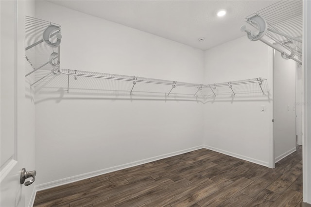 spacious closet with dark wood-type flooring