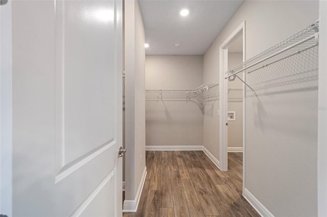 spacious closet featuring wood finished floors