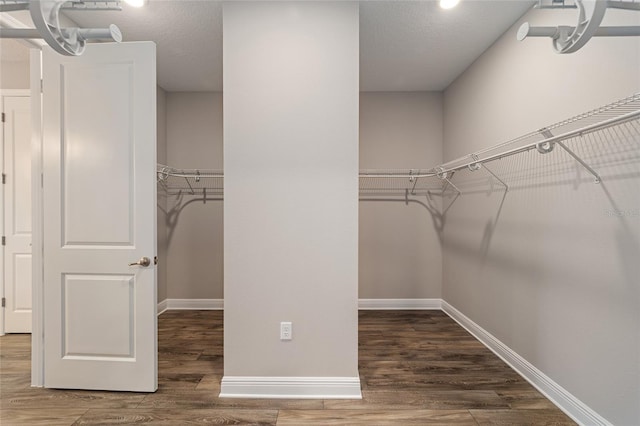 spacious closet featuring wood finished floors