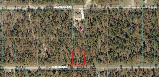 TBD SW Anchor Blvd, Dunnellon FL, 34431 land for sale