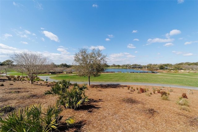 view of yard featuring a water view