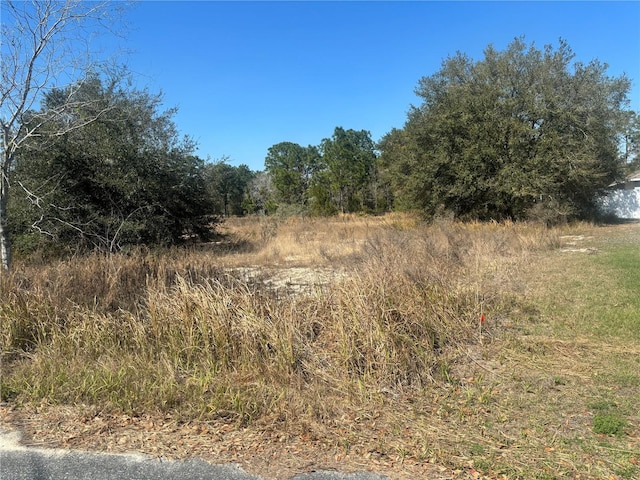 0000 Oak Run Pl, Ocala FL, 34472 land for sale