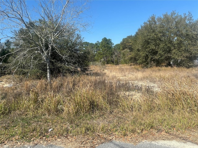 Listing photo 2 for 0000 Oak Run Pl, Ocala FL 34472