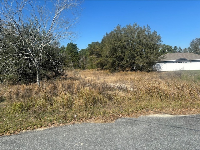 Listing photo 3 for 0000 Oak Run Pl, Ocala FL 34472