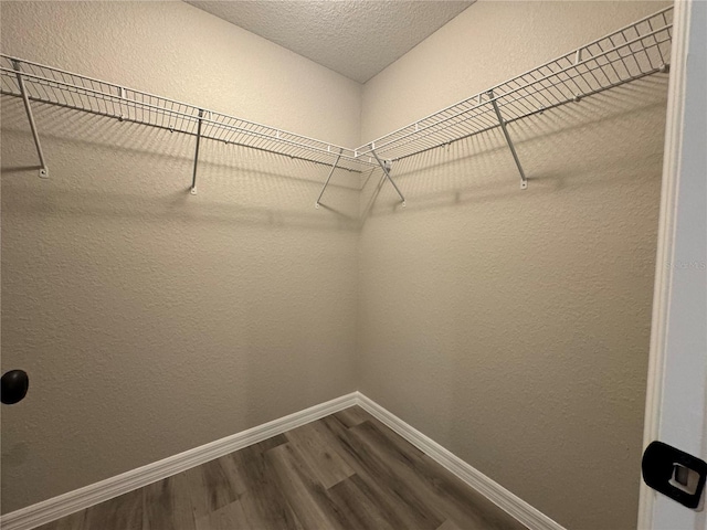 walk in closet featuring dark wood-style flooring