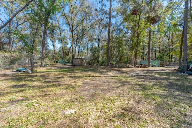 view of yard with an outbuilding and a storage unit