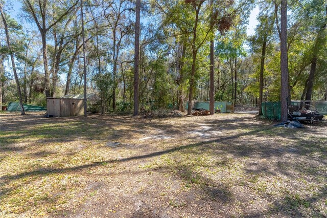 view of yard featuring an outdoor structure and a shed