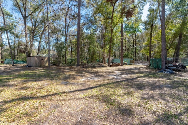 view of yard featuring an outbuilding and a storage unit