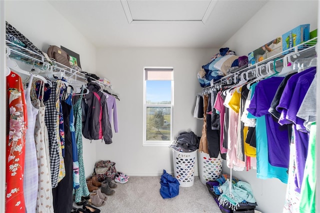 spacious closet with attic access and carpet flooring