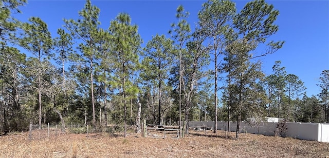 NE 3rd Pl, Williston FL, 32696 land for sale