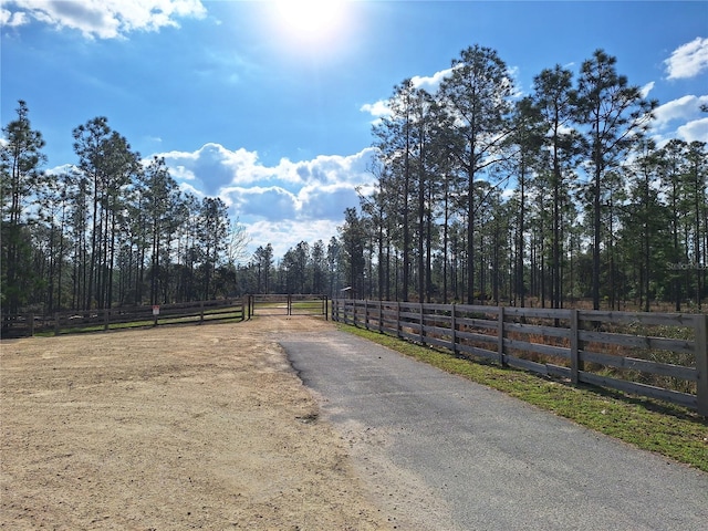 view of street featuring a gate and aphalt driveway