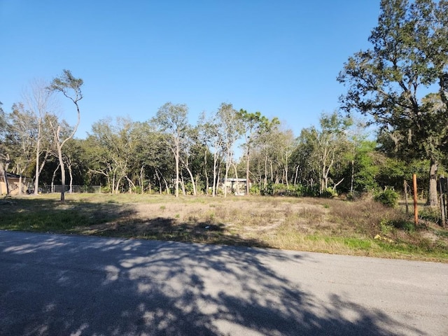 LOT19 Nw 119 Th Court, Ocala FL, 34482 land for sale