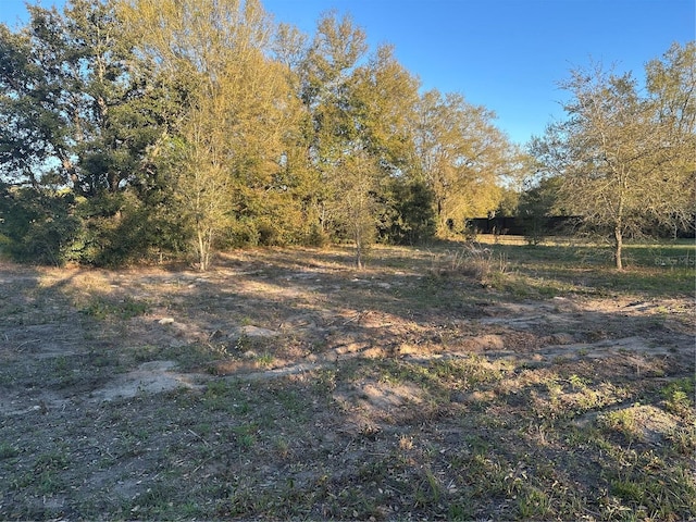 LOT5 SW 107th St, Dunnellon, FL 34432 - photo 3
