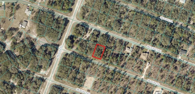 TBD Malauka Dr, Ocklawaha FL, 32179 land for sale