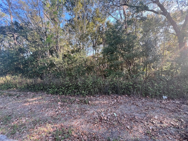 NE 14th St, Ocala FL, 34470 land for sale