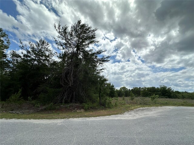 TBD Malauka Lane, Ocklawaha, FL 32179