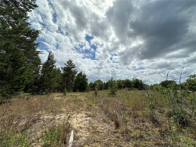 TBD Malauka Lane, Ocklawaha, FL 32179