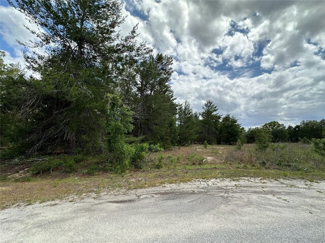 TBD Malauka Lane, Ocklawaha, FL 32179