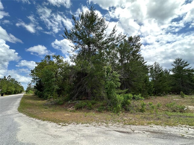 TBD Malauka Lane, Ocklawaha, FL 32179